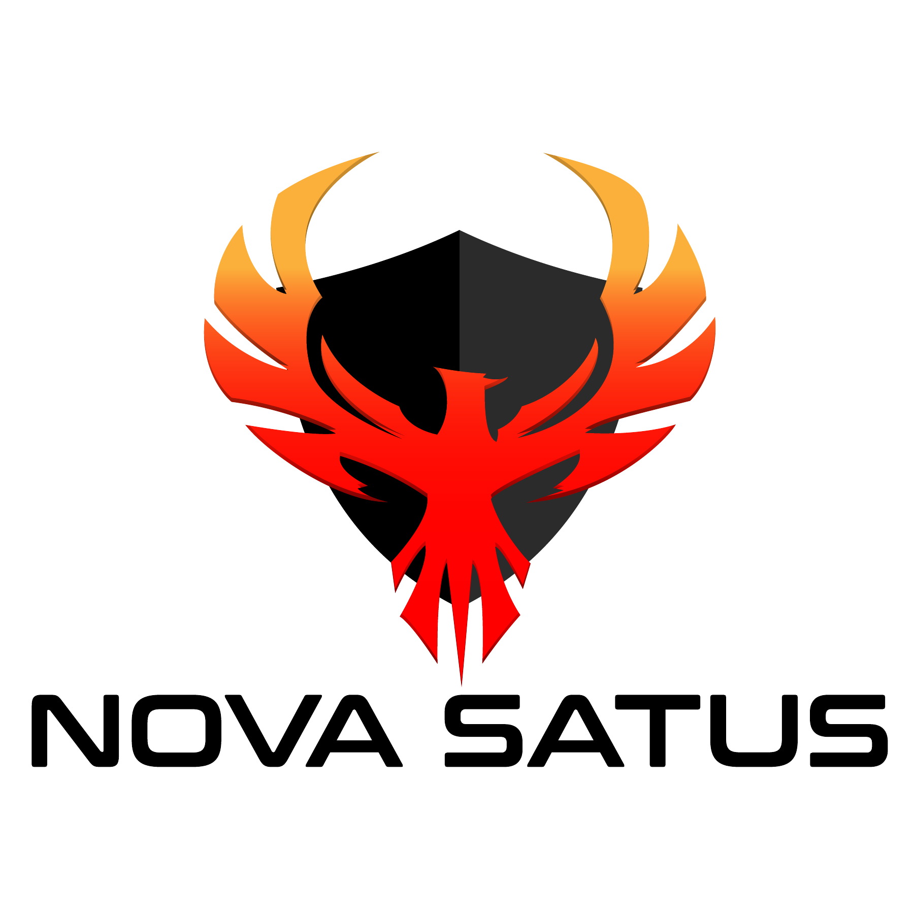 Nova Satus Logo